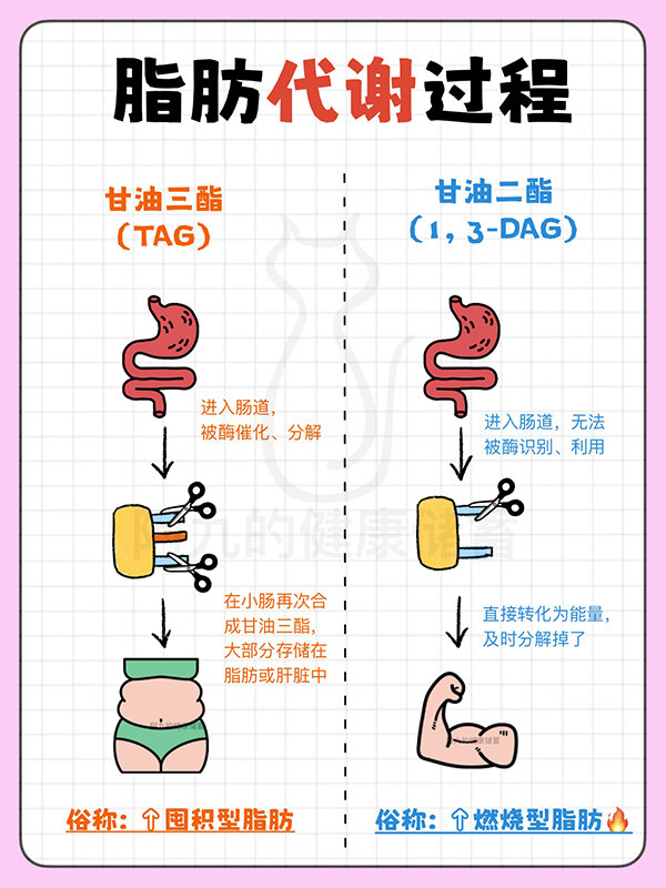 自動插件機完美解決電子廠招工難問題